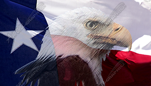 Texas Flag Eagle