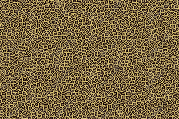 Leopard Hide