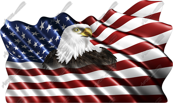 Waving American Flag Eagle Head Small Cloth