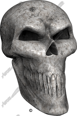 Bone Skull Angle 2