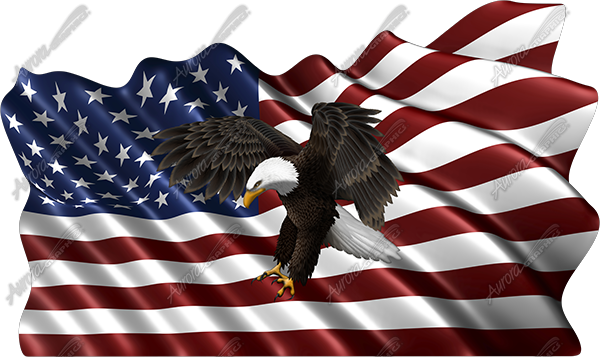 Waving American Flag Flying Eagle