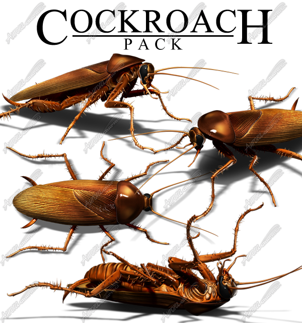 Cockroach Pack