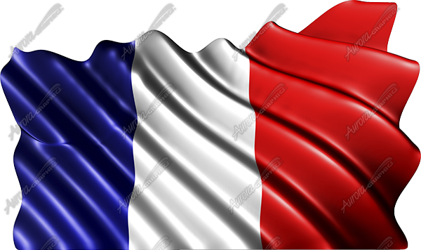 Waving French Flag Cloth