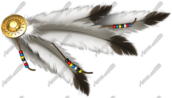 Ornamantal Feathers