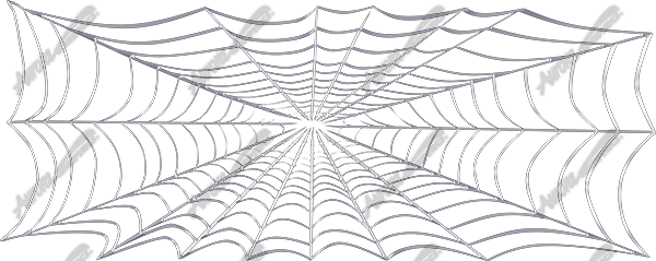 Spider Web Thin