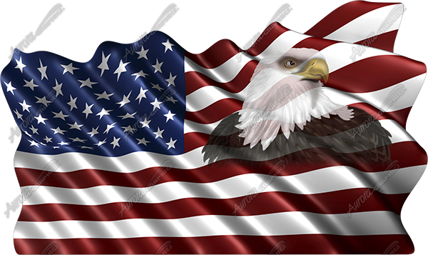 Waving American Flag Eagle Head Small 4