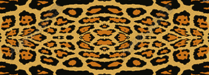 Leopard Hide 1