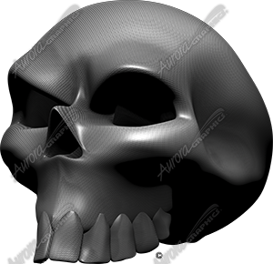 Carbon Fiber Skull Angle 3