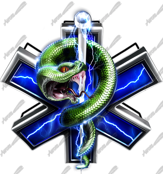 EMS Serpent