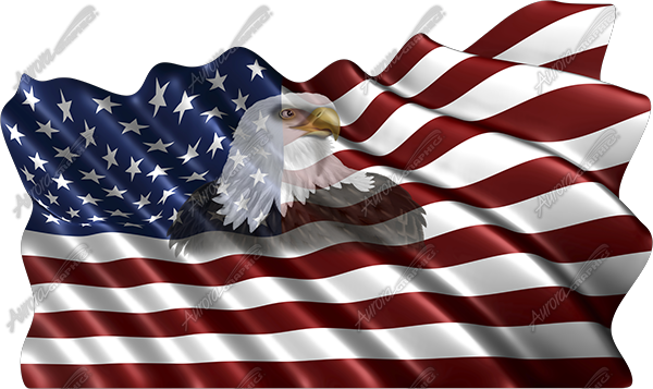 Waving American Flag Eagle Head Small 2