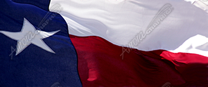 Texas Flag 2