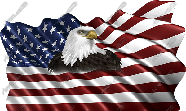Waving American Flag Eagle Head Small