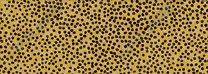 Cheetah Hide 1