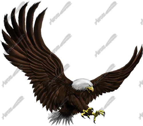 Attack Eagle 2