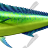 Mahi Mahi