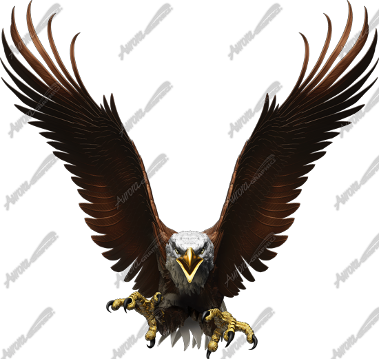 Eagle Flight Straight Vehicle Wrap Design — Large Scale Artwork for Wide Format Printing | Categories: PIK6 Everyday, Nature