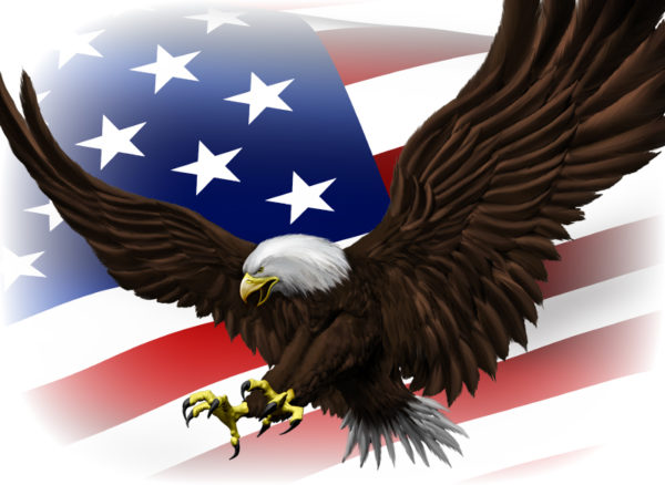 Attack Eagle 2 Vehicle Wrap Design — Large Scale Artwork for Wide Format Printing | Categories: PIK6 Everyday, Nature