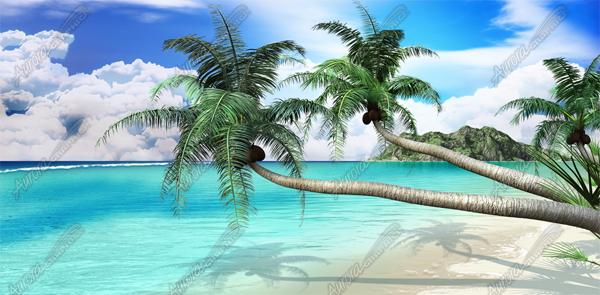 Tropical Beach Vehicle Wrap Design — Large Scale Artwork for Wide Format Printing | Categories: PIK6 Everyday, Nature