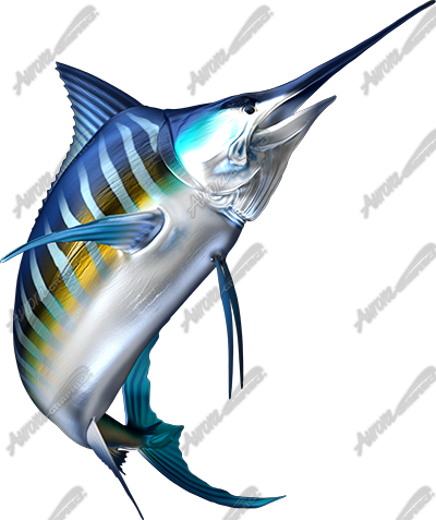 Striped Marlin