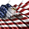 Waving American Flag Eagle Head Small 2 Cloth