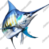 Striped Marlin