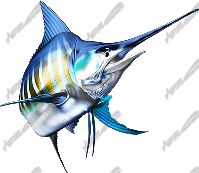 Striped Marlin