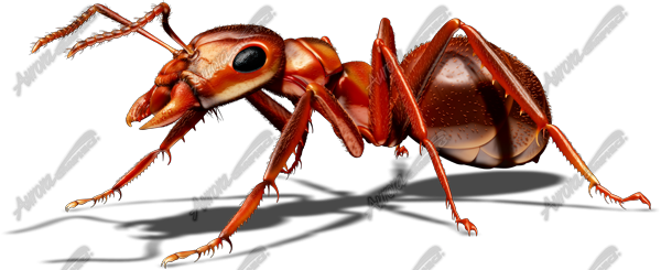 Red Ant 1 Vehicle Wrap Design — Large Scale Artwork for Wide Format Printing | Categories: PIK6 Everyday, Commercial, Industry, Nature