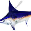Swordfish