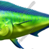 Mahi Mahi
