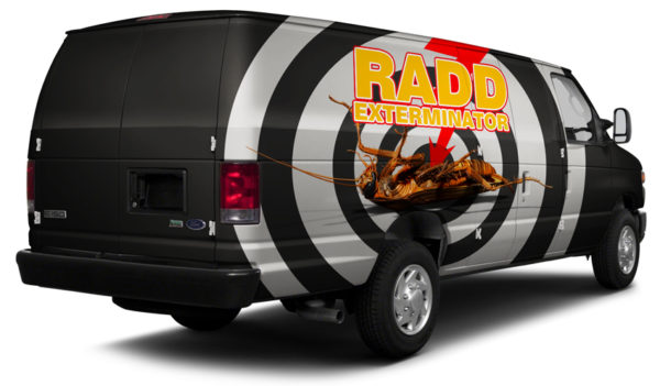 Cockroach 4 Vehicle Wrap Design — Large Scale Artwork for Wide Format Printing | Categories: PIK6 Everyday, Commercial, Industry, Nature