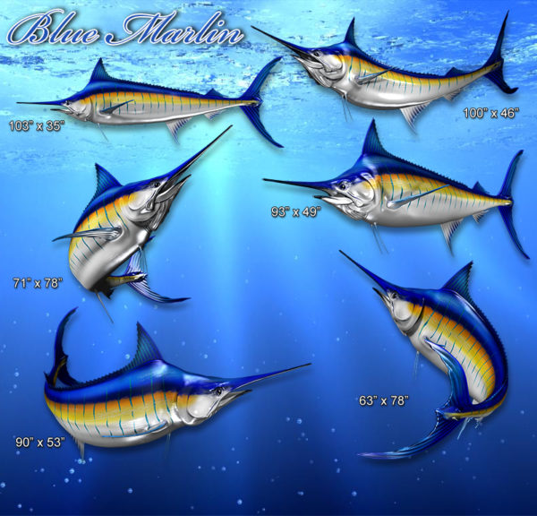 Blue Marlin Fish