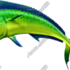 Mahi Mahi