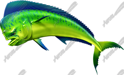 Mahi Mahi