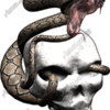 Snake Strike 4 Vehicle Wrap Design — Large Scale Artwork for Wide Format Printing | Categories: PIK6 Everyday, Skulls