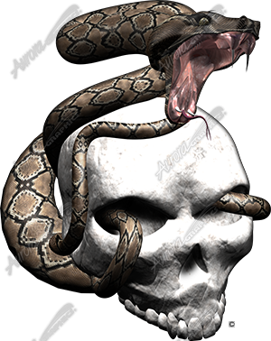 Snake Strike 4 Vehicle Wrap Design — Large Scale Artwork for Wide Format Printing | Categories: PIK6 Everyday, Skulls