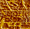 Alien Surface is a unique abstract print fill designed for smaller-scale graphics and signage where a bold, otherworldly texture can make a lasting impression. This design features an organic, almost molten surface structure, giving the illusion of a strange extraterrestrial material under pressure. The dense clustering of raised, cell-like forms and flowing grooves creates a tactile, high-impact visual that immediately captures attention.
