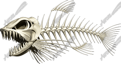 Bonefish