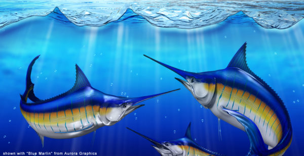 Ocean Water