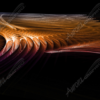 Eagle Wings, abstract, wire, cable, commercial, street custom, telecom, dark, space, universe, Spirograph, thin lines, accent, colorful, light. Design Graphics High Resolution Image.
