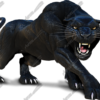 Wild Cat Vehicle Wrap Design — Large Scale Artwork for Wide Format Printing | Categories: PIK6 Everyday, Nature