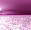 Sun Down Vehicle Wrap Design — Large Scale Artwork for Wide Format Printing | Categories: Nature