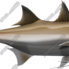 King Threadfin