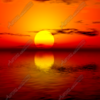 Summer Nights Vehicle Wrap Design — Large Scale Artwork for Wide Format Printing | Categories: PIK6 Everyday, Nature