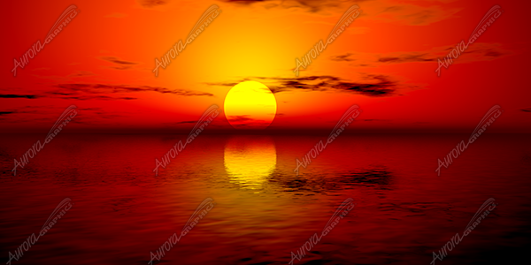 Summer Nights Vehicle Wrap Design — Large Scale Artwork for Wide Format Printing | Categories: PIK6 Everyday, Nature
