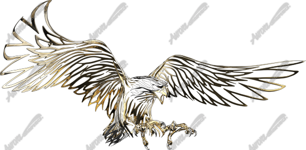 Gold Tribal Eagle Vehicle Wrap Design — Large Scale Artwork for Wide Format Printing | Categories: PIK6 Everyday, Nature