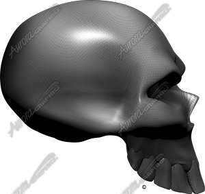 Carbon Fiber Skull Side Vehicle Wrap Design — Large Scale Artwork for Wide Format Printing | Categories: Skulls