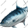 Talang Queenfish