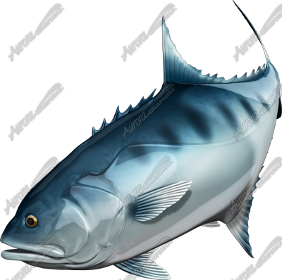 Talang Queenfish