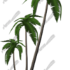 Palm Tree Oasis Vehicle Wrap Design — Large Scale Artwork for Wide Format Printing | Categories: Nature