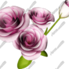 Roses 2 Vehicle Wrap Design — Large Scale Artwork for Wide Format Printing | Categories: PIK6 Everyday, Nature
